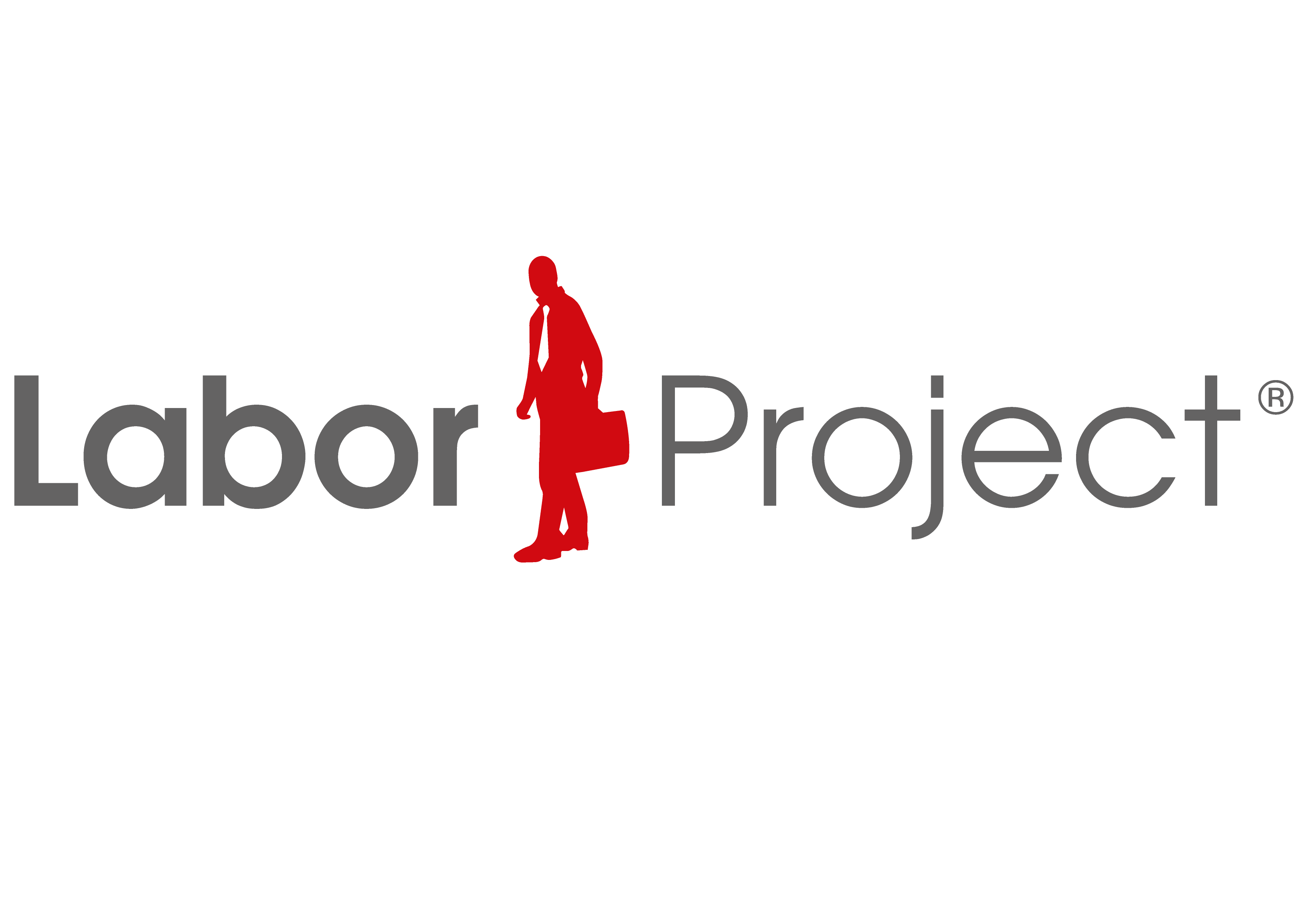 LABOR PROJECT